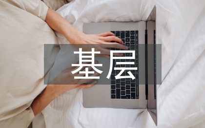 基層黨支部書記總結