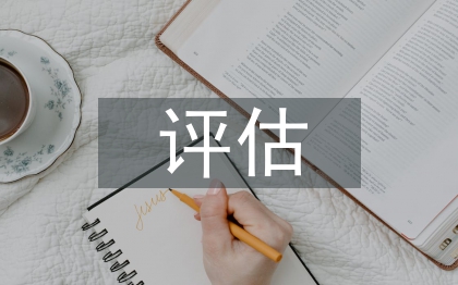 納稅評估調研報告