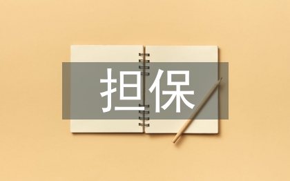 小微企業融資擔保存在的問題及對策