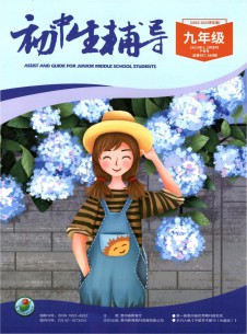 初中生輔導(dǎo)雜志